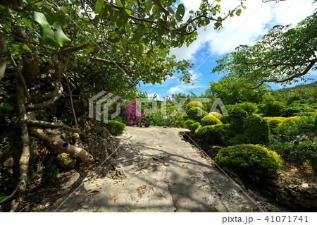 与論島　ユンヌ楽園 41071741