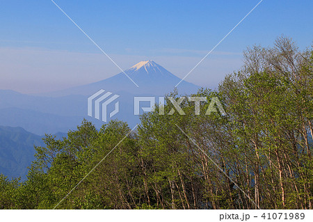 奥秩父主脈から望む富士山　甲武信ヶ岳～雁坂峠 41071989