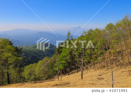 奥秩父主脈から望む富士山　甲武信ヶ岳～雁坂峠 41071991