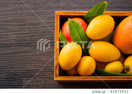 マンゴー マンゴ フルーツ 41072912