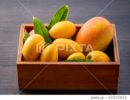 マンゴー マンゴ フルーツ 41072913