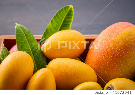 マンゴー マンゴ フルーツ 41072941