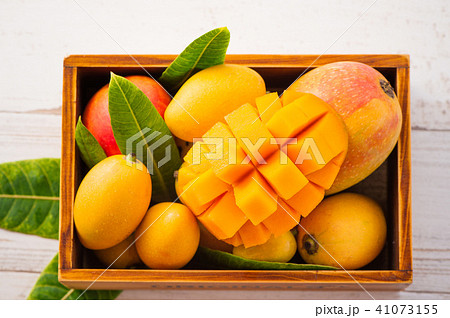 マンゴー マンゴ フルーツ 41073155