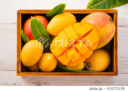 マンゴー マンゴ フルーツ 41073156