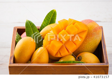 マンゴー マンゴ フルーツ 41073157