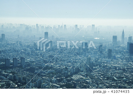東京 41074435