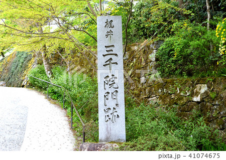 三千院 41074675