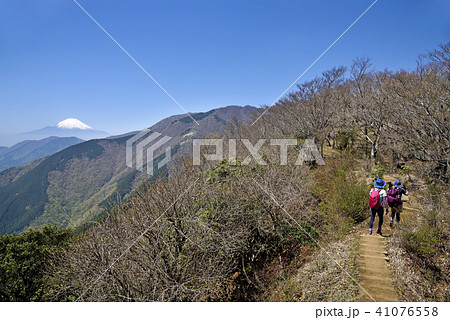 丹沢表尾根 丹沢表尾根 41076558