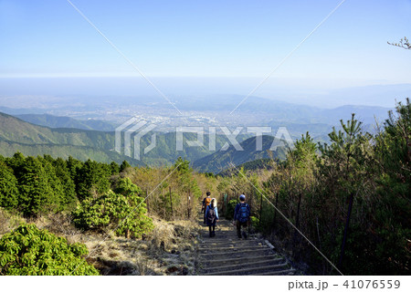 丹沢大倉尾根 41076559