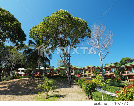 タイ・リペ島マウンテンリゾート Mountain Resort Koh Lipe, Thailand タイ・リペ島マウンテンリゾート Mountain Resort Koh Lipe, Thailand 41077739