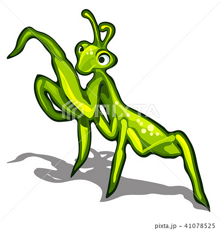 Beetle praying mantis isolated on a white background. Vector illustration. Beetle praying mantis isolated on a white background. Vector illustration. 41078525