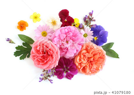 Feminine floral composition. Bouquet of edible wild and garden flowers and herbs. Old roses, sage 41079180