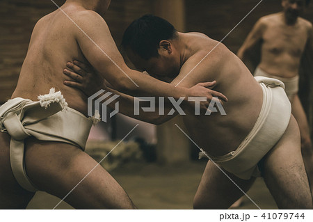 Sumo wrestling 41079744