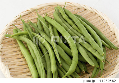 サヤインゲン 41080582