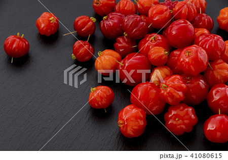 ピタンガ 41080615