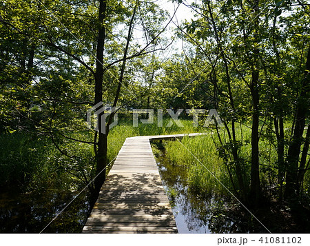 矢川緑地（東京の名湧水57選） 41081102