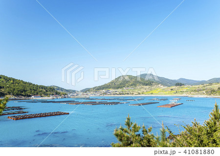 莞島郡 青い海 島 41081880