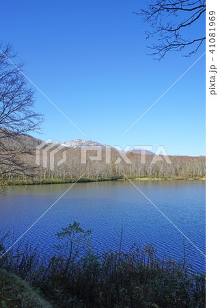 蓮華白池（糸魚川市） 41081969