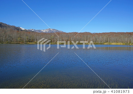 蓮華白池（糸魚川市） 41081973