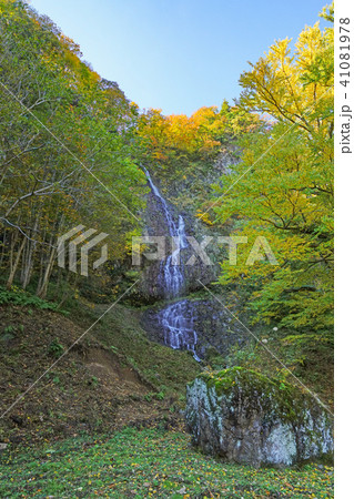 糸滝（糸魚川市） 41081978