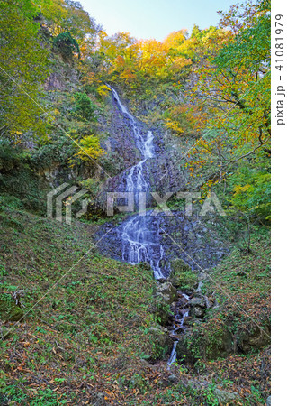糸滝（糸魚川市） 41081979