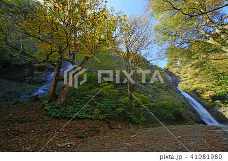 糸滝と不動滝（糸魚川市） 41081980