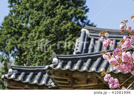 順天市 仙岩寺 ジョギェサン 41081996