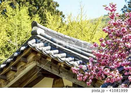 順天市 仙岩寺 ギョプボトコト 41081999