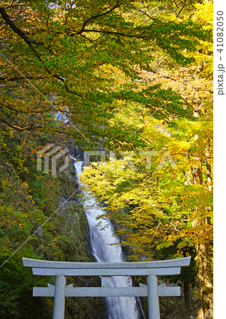 不動滝（糸魚川市） 41082050