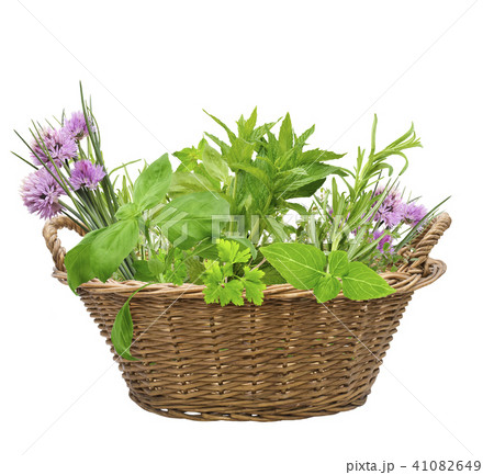 Fresh herbs in a basket 41082649