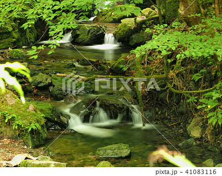 埼玉県唯一の「日本の滝百選」 丸神の滝の渓流1 埼玉県唯一の「日本の滝百選」 丸神の滝の渓流1 41083116