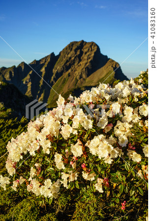 玉山 主峰 最高峰 41083160
