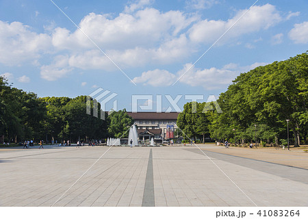 新緑の上野国立美術館 新緑の上野国立美術館 41083264