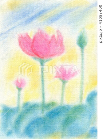 蓮の花 41083400