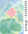 蓮の花 41083505