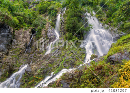Waterfall in deep rain forest jungle Waterfall in deep rain forest jungle 41085297