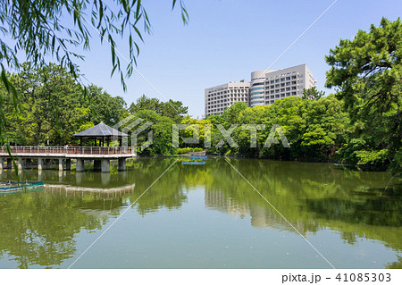名古屋市昭和区都市風景 鶴舞公園 竜ヶ池と名古屋大学病院 名古屋市昭和区都市風景 鶴舞公園 竜ヶ池と名古屋大学病院 41085303