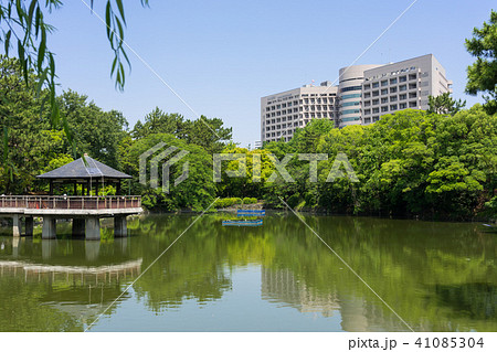 名古屋市昭和区都市風景 鶴舞公園 竜ヶ池と名古屋大学病院 名古屋市昭和区都市風景 鶴舞公園 竜ヶ池と名古屋大学病院 41085304