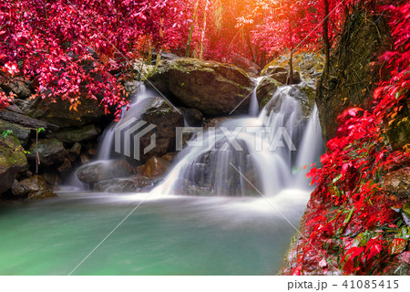 Waterfall in deep rain forest jungle Waterfall in deep rain forest jungle 41085415