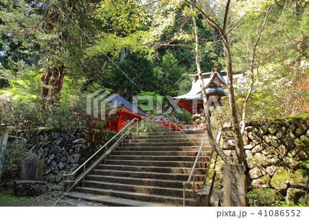 花園神社　花園渓谷　北茨城 41086552