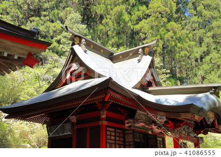 花園神社 花園渓谷 北茨城 花園神社 花園渓谷 北茨城 41086555
