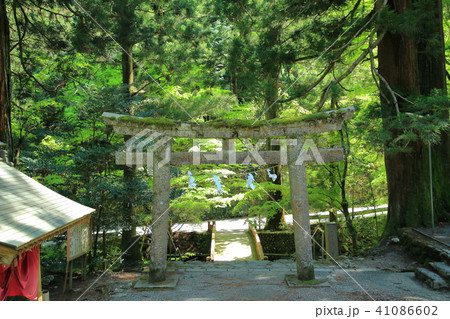 花園神社 花園渓谷 北茨城 花園神社 花園渓谷 北茨城 41086602