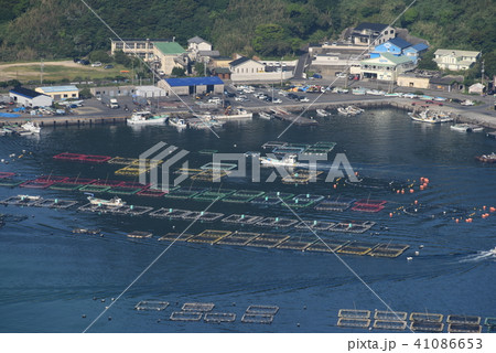 柏島の養殖筏 柏島の養殖筏 41086653