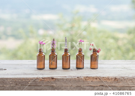 Wildflowers Ayurveda Alternative Medicine Herbal Health Aromatherapy Phytotherapy Homeopathy Concept Wildflowers Ayurveda Alternative Medicine Herbal Health Aromatherapy Phytotherapy Homeopathy Concept 41086765