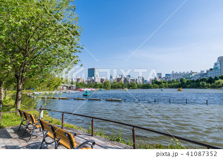 新緑の上野公園 不忍池の風景の写真素材