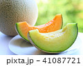 メロン 41087721