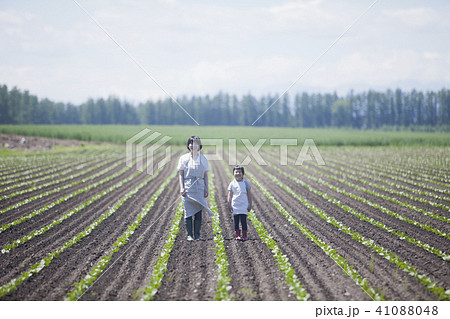畑作業をする親子 41088048