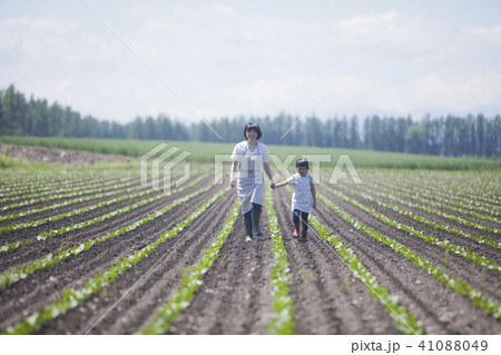 畑作業をする親子 41088049