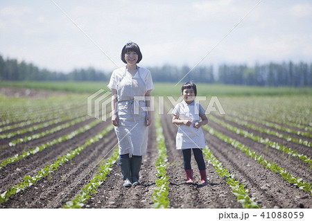 畑作業をする親子 41088059