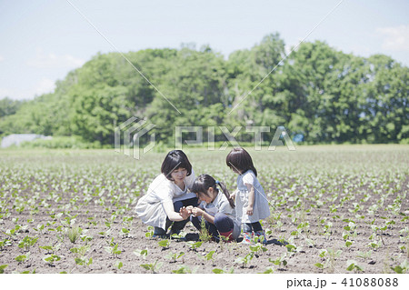 畑作業をする親子 畑作業をする親子 41088088